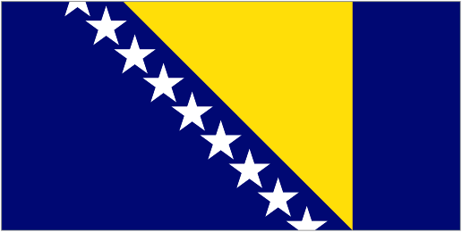 Bosnia & Herzegovina logo