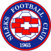 Sileks logo